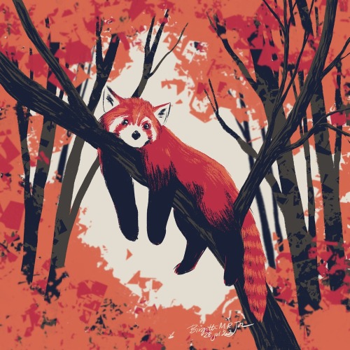 inprnt: “Red panda” by Birgitte Johnsen on INPRNT Childhood Memories: Red Pandas were my favourite a