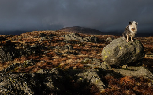 Last Sun by Wild Galloway Somewhere in the murk are majestic snow-capped peaks, sometimes the clouds