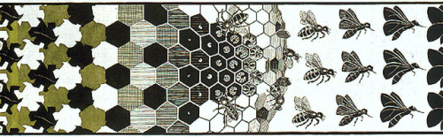 Maurits Cornelis Escher , Metamorphosis II