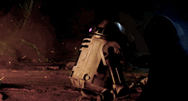 likeasummer:  MAY 4TH BE WITH YOU  “The Force is strong in my family. My father