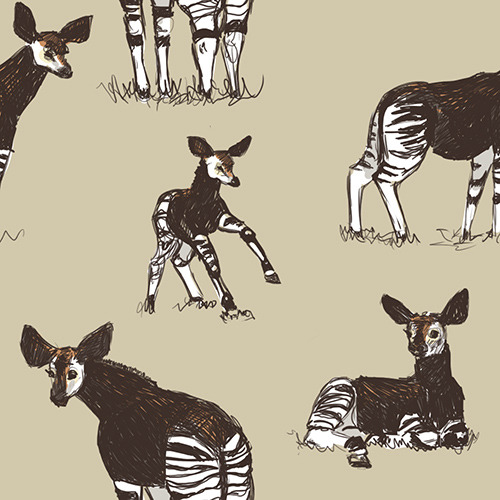 marmotdoodles:  Okapi pattern!