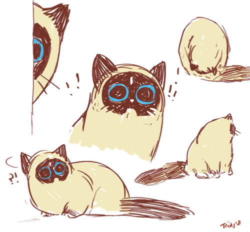 ladytruds:Quick sketches of Cookie (she likes to get all animated and hyper approaching midnight) : 