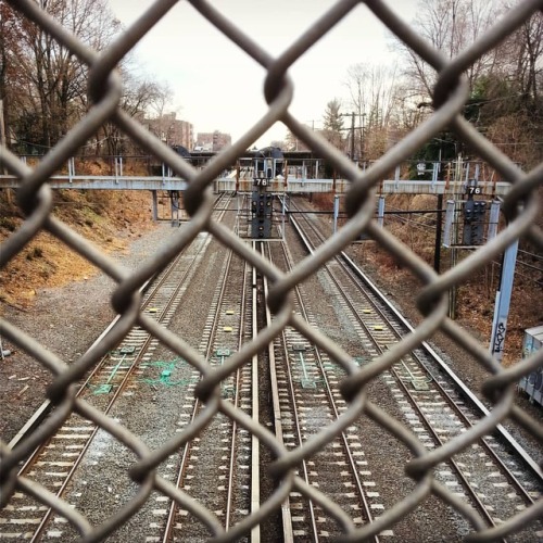 Train in vain.  #kewgardens #traintracks  www.instagram.com/p/BrdG8d1FzIt/?utm_source=ig_tum