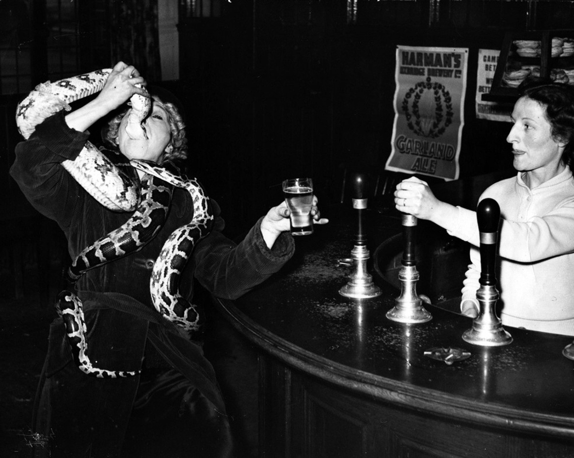 Circus performer Millie Kayes swallowing the head of a 12ft python in the bar of