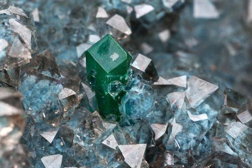 Plancheite-included Quartz with Dioptase - Mindouli, Pool Department, Congo