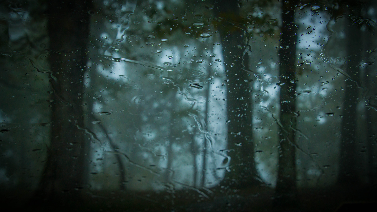 expressions-of-nature:  Raindrops at Jeffress Park, North Carolina by Lindley Ashline