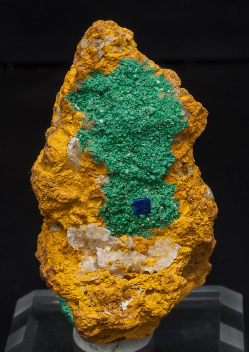 Boleite with Clinoatacamite and Gypsum on Limonite  - Amelia Mine, Baja California Sur, Mexico