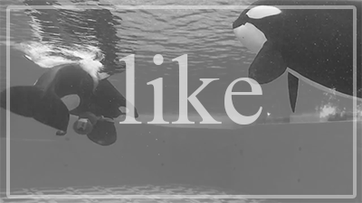 ketotheorca:  “Let them retire!”[x] [y] [z] 