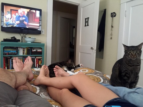 matthewhubbard:  Coffee and Girl Meets World with  lashader08 &  joyous-dancer. This is what adults do on Sunday morning, right?