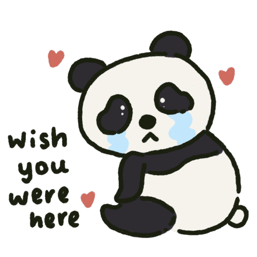 I Made A Sticker Pack For My Partner And I To Use On WhatsApp (they Love Pandas)