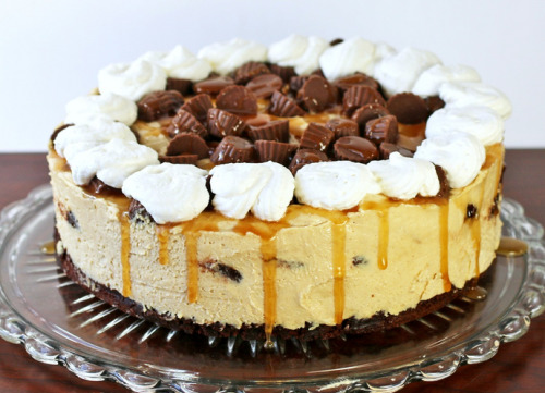 fullcravings: Peanut Butter Brownie No Bake Cheesecake