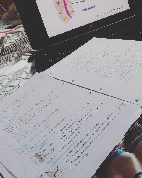 12pm // Happy Easter everyone! Today I&rsquo;m revising anaesthetics