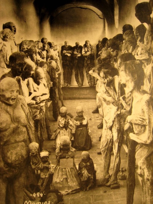 The Mummies of Guanajuato Mexico.