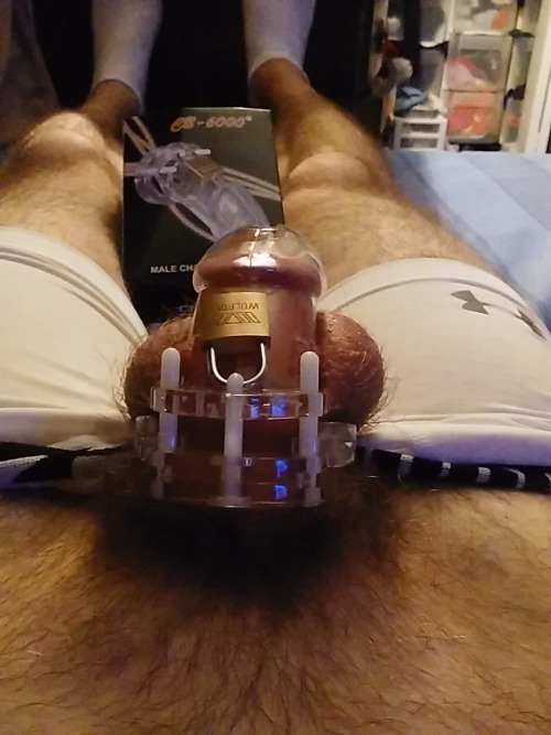chastityl0er: dan12481: Being a good boy and showing off my blue balls
