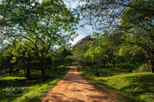 Walking trails in Mihintale, Sri Lanka by koldunovvv