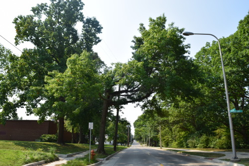 utility pruning