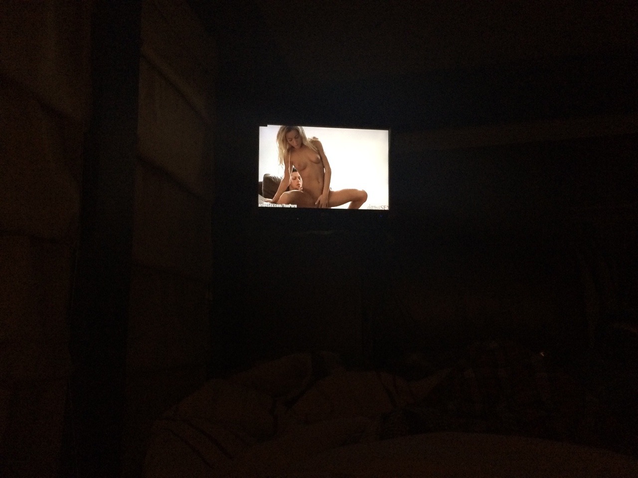 xourdirtyfantasiesx:  We’re having a lay in bed and watch porn night tonight. So