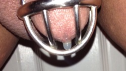 shdw66:  Dripping cum for my Mistress. 