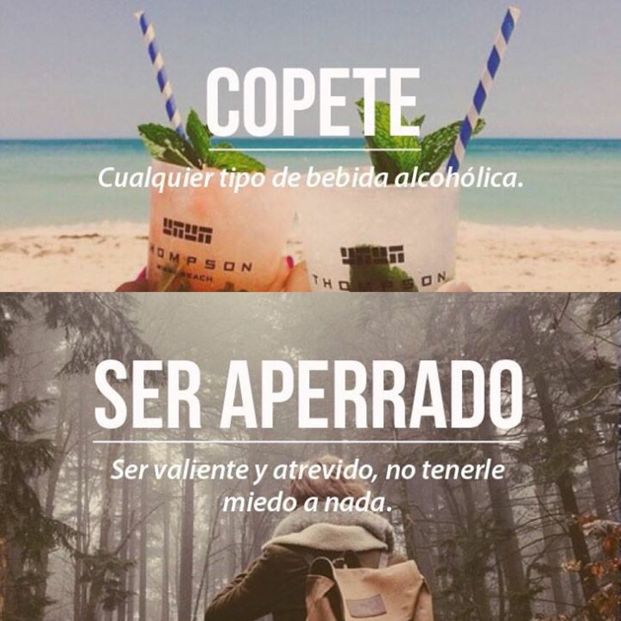 tulipanes-rojos:  lenguaje chileno para los extranjeros ✌🏻️😁 • solo por