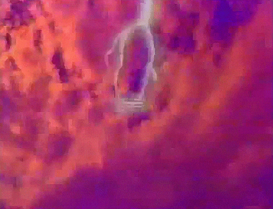 ShinyElfie