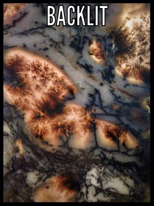 Snake River Dendritic Agate, rare old stock! www.etsy.com/listing/619304844/snake-river-dend