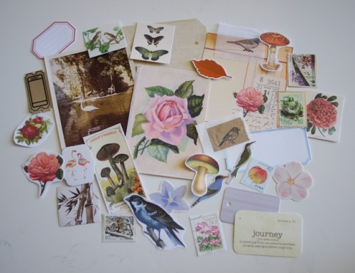 Here are photos of my etsy shop update from today. Some vintage and nature inspired ephemera kits th