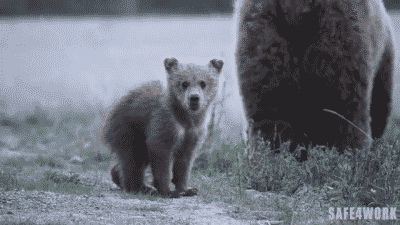 tastefullyoffensive:  “Come over, my mom’s cool” [video] (gif by Safe4work)