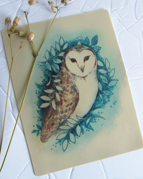 Barn owl colour tattoo