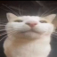 puffypuff81