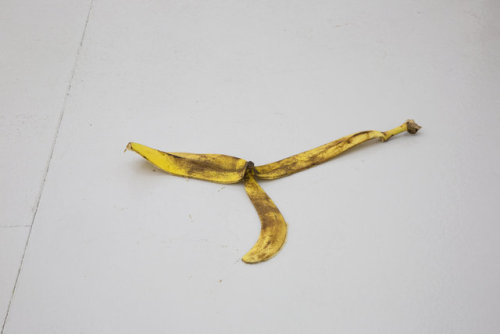 mentaltimetraveller: Adriana Lara, Installation (Banana Peel), 2008. Banana peel, dimensions variabl