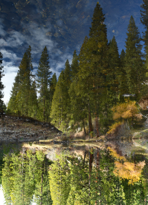 oneshotolive:  Rocky Reflections in the Sierra Nevada. Stanislaus National Forest, CA [1808x2500][OC]@seanaimages 📷: cubedude719 