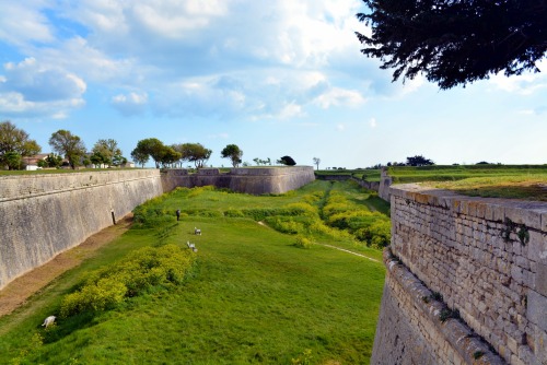 Ile de Ré, Poitou-Charentes, France.