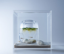 88floors:  Minimalist Aquariums Filled With