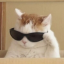 acatwriteshere