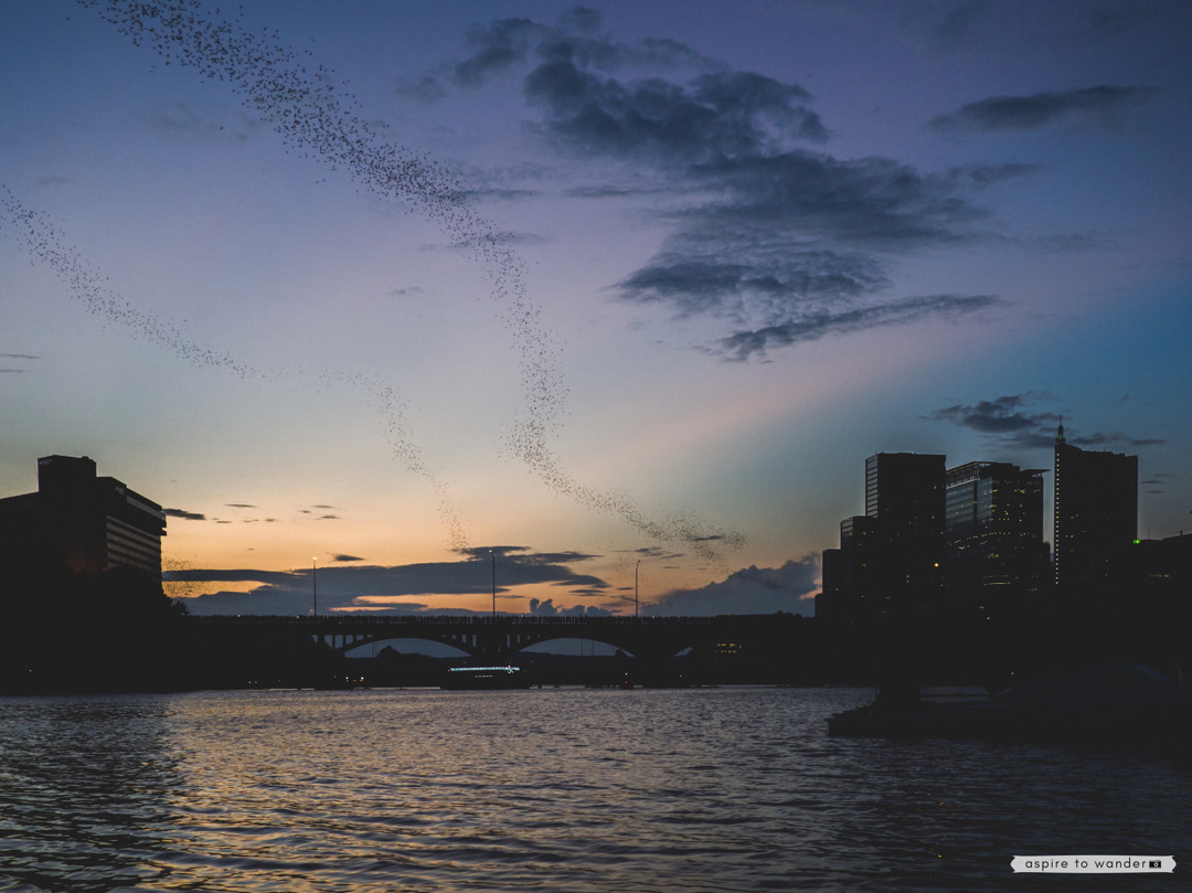 The bats are heading even further south just about now, but if you plan on visiting #AustinTX in the spring, summer, or early fall, watching the bats emerge from under the Congress Avenue Bridge is a sight not to be missed! Read more about where to...