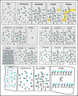 scienceisbeauty:  Knowledge interconnected. I stumbled upon some of this drawings and I’ve compiled some of them. Apparently they originated here in Tumblr:  gaping void: Information Versus Knowledge  Analysis.