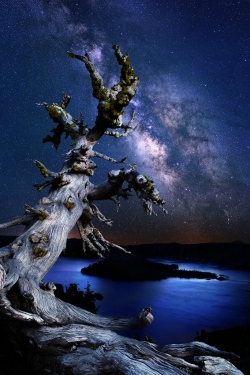 tulipnight:  Watching Over; Crater Lake by