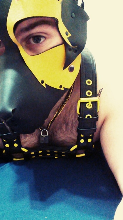 thattrashypup:Felt like pupping out adult photos