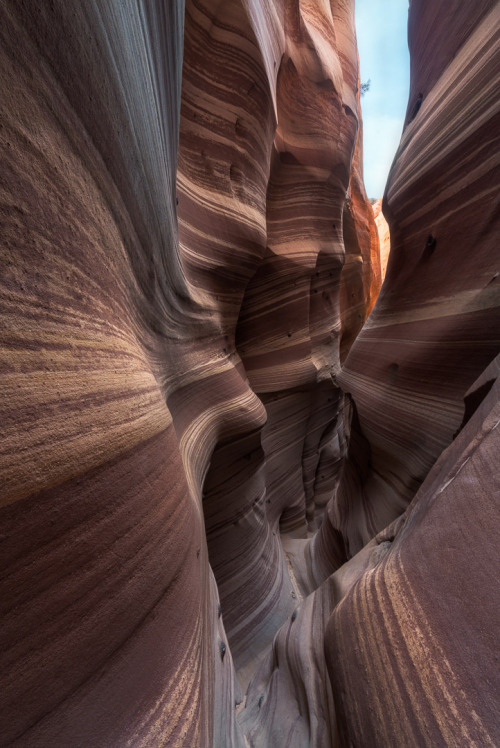 soulmystical:entertainmentnerdly: A shot of Zebra Canyon, in Utah. [722 × 1080] [OC] via /r/EarthPor