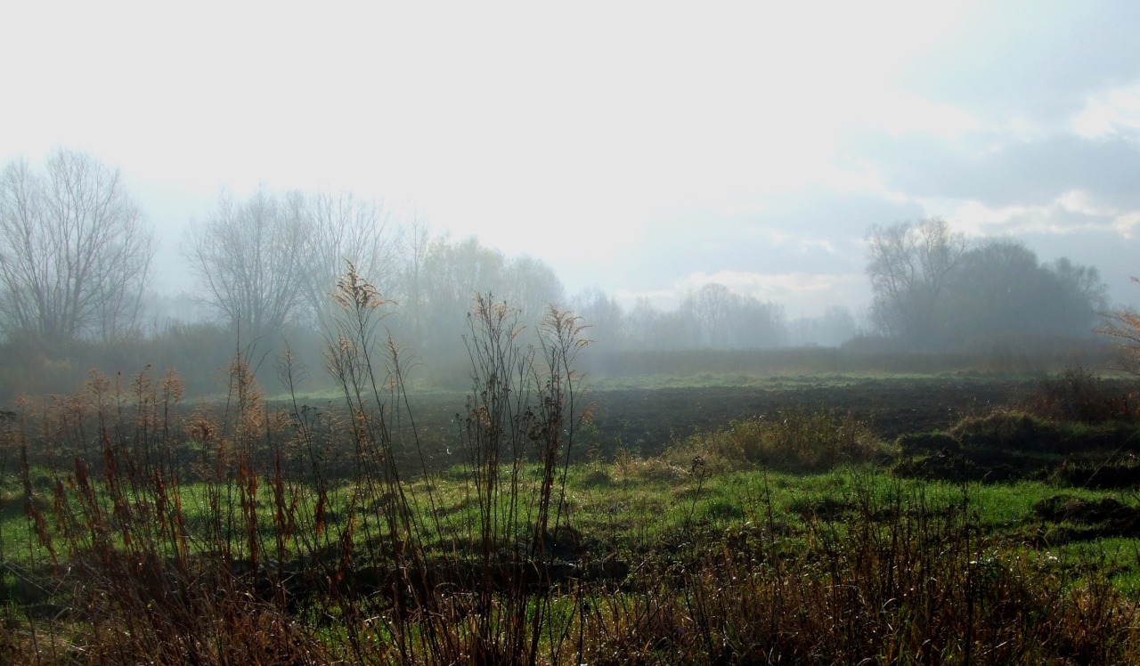 nikaat:  © NIkaat 2013 otherside 