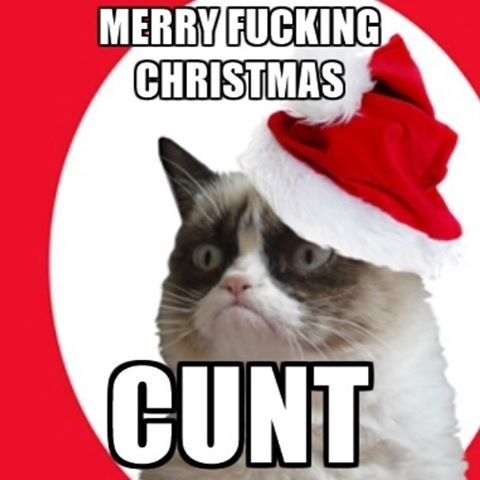 Hoe, hoe, hoe!#christmas #grumpychristmas #grumpycat #christmaseve