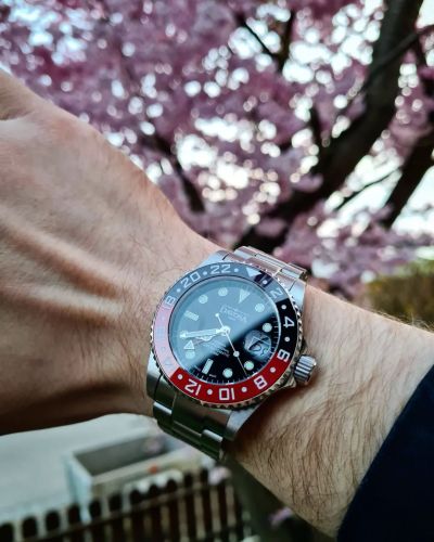 Instagram Repost
collector.of.time
Davosa in front of Cherry blossom … Ternos Dive Watch  #davosa #davosaternos #davosawatches [ #davosa #monsoonalgear #divewatch #watch #toolwatch ]