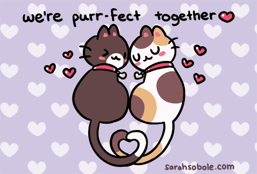 crapmachine:crapmachine:  …I also made cat valentines, because I am predictable. You can get those in my shop, too!  reblogging for actual Valentine’s Day