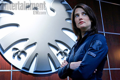 Porn photo agentsofshieldfans:  Cobie Smulders joins