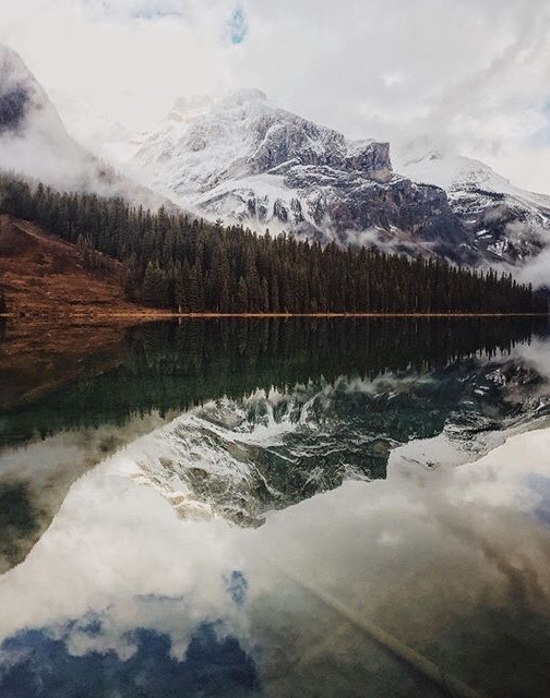 delta-breezes:  @grandmotherwolf
