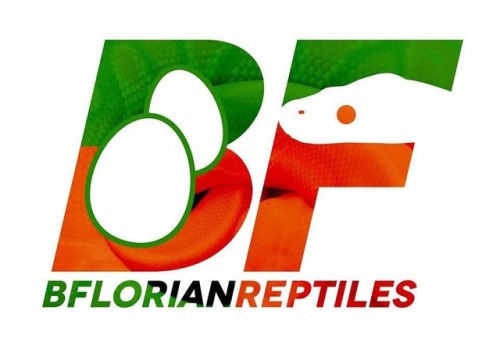 Logo I made for Brad Florian #snakelogo #ballpythons #reptilebreeder #snakebreeder #ballpythonbreede