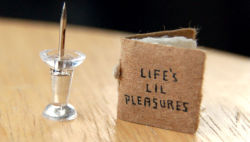mortal-cyn: silentlycrazy:  sixpenceee:  “Life’s Lil Pleasures” was created by illustrator and designer Evan Lorenzen. Lorenzen has spent the last year building a library of “micro books” with diverse themes, including one that details major