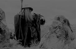 stormborn:Nine companions. So be it. You shall be the Fellowship of the Ring.
