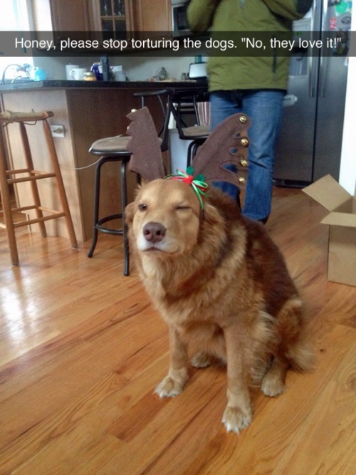 funny-gif-1:  Other Funny Gİfs http://funny-gif-1.tumblr.com/