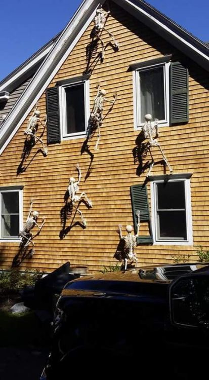 teenagerposts: itskarmalone: rururaptor:  thorins-treefort:  sixpenceee:  Climbing skeletons make on